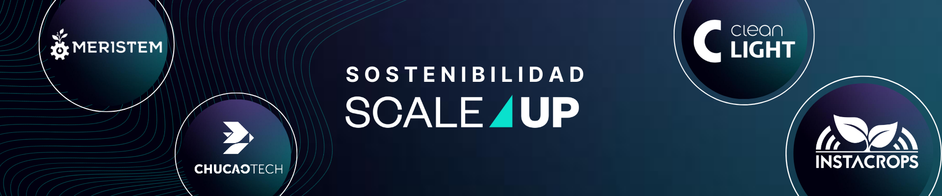 ¡Conoce las empresas con foco en sostenibilidad de nuestro Programa Scale Up by Endeavor!