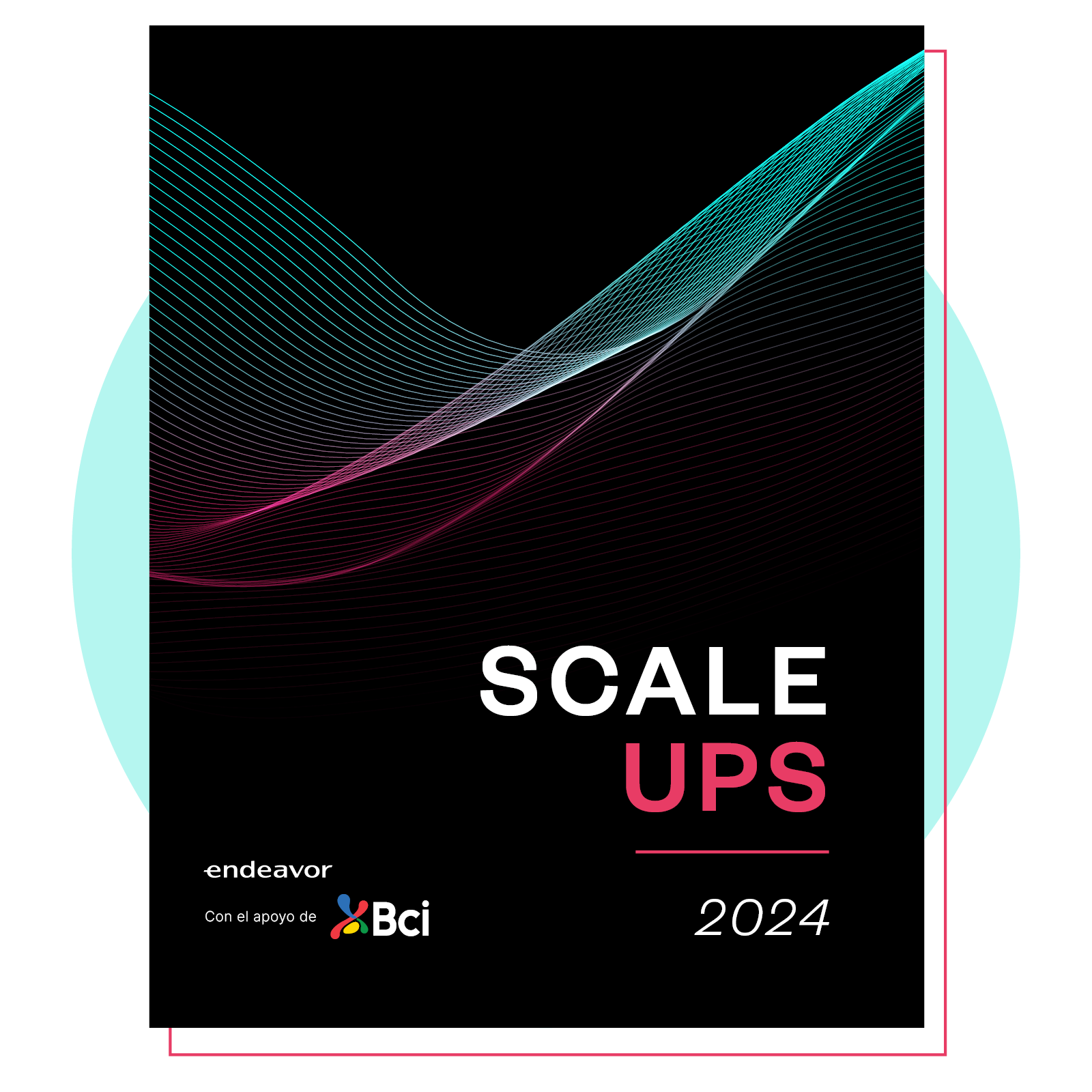 Scale ups - Portada Web