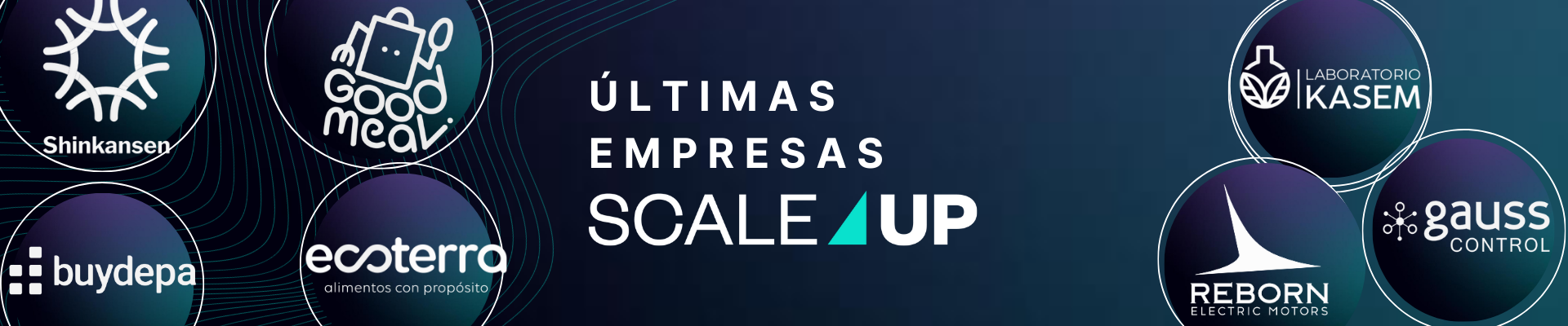 ¡Conoce las últimas empresas que están en nuestro Programa Scale Up by Endeavor!