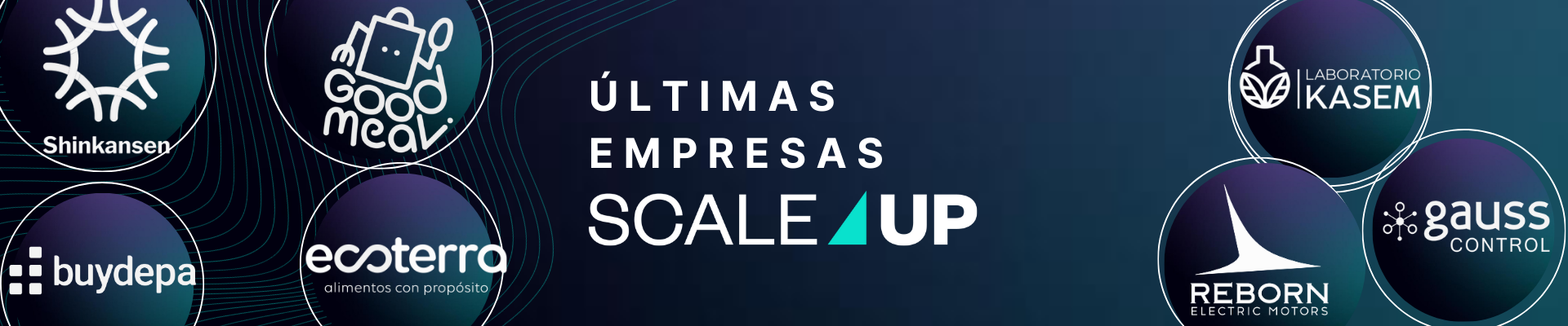 Header ultimas empresas scaleup